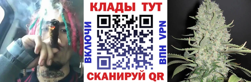 Купить закладку Конопля  Мефедрон  Кокаин  Псилоцибиновые грибы  ГАШ  Кудрово