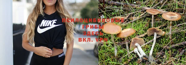 трава Алексеевка