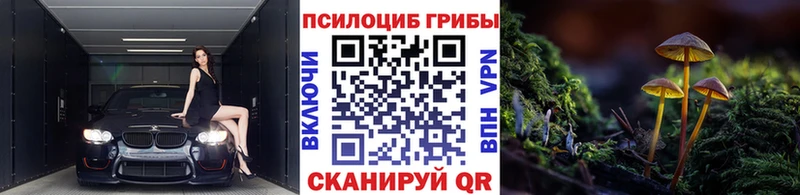 Купить  Кудрово  Галлюциногенные грибы MAGIC MUSHROOMS 